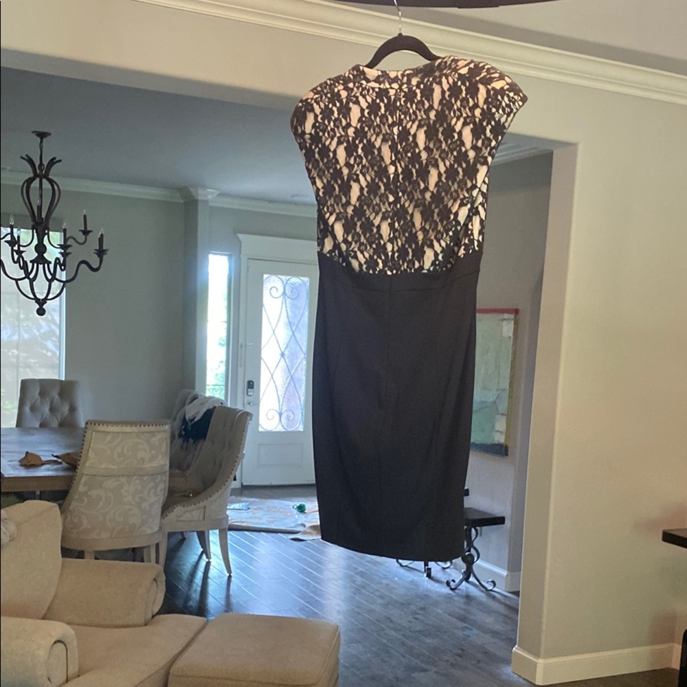 Ted Baker London Black with Nude Underlay Dress - Picture 4 of 7